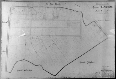 818111 Kadastrale kaart (minuutplan) van de gemeente Catharijne, Sectie D in één blad met de grenzen van het ...